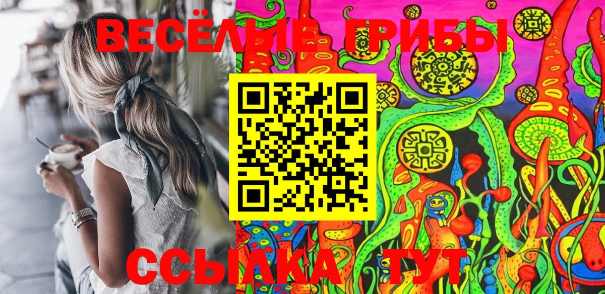 Галлюциногенные грибы Cubensis Королёв